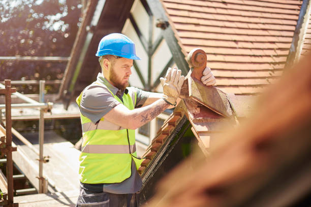 Best Metal Roofing Contractor  in Jackson, WI